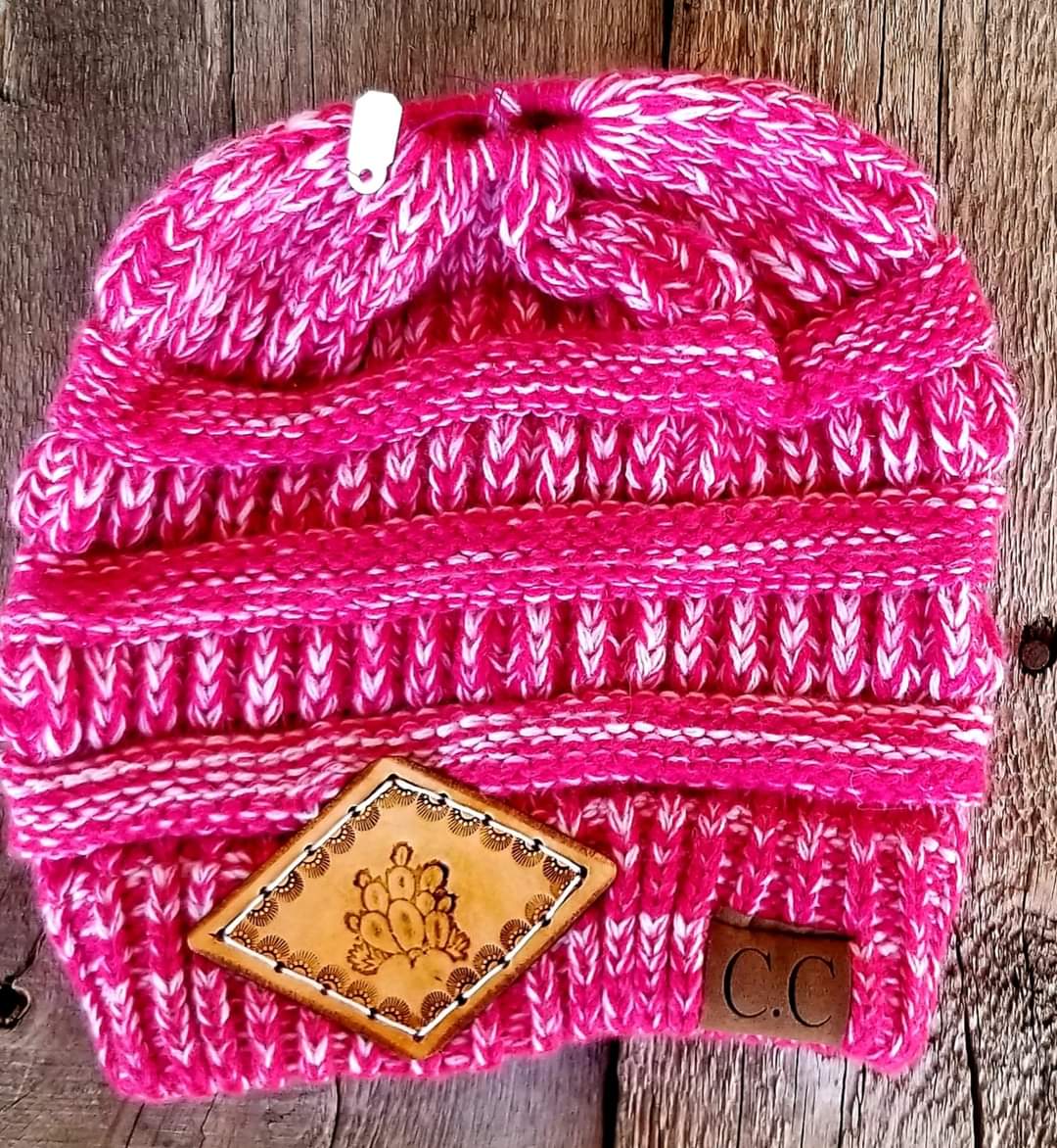 Pink beanie cactus